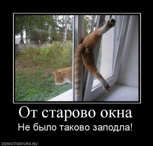 http://cs1532.vkontakte.ru/u17245529/77129404/x_328a1037.jpg